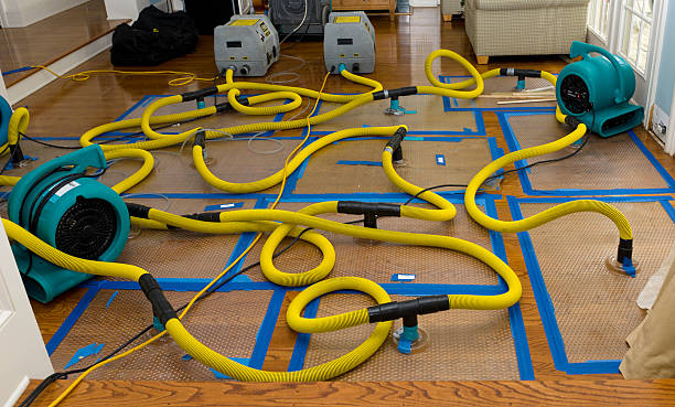 Professional Emergency Water Removal technician working in Ashley, PA